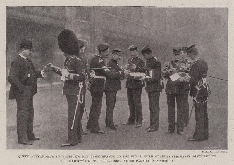 Den svatého Patrika královny Alexandry vzpomínka na Královskou irskou gardu, seržanti rozdávající dar Jejího Veličenstva Shamrock po přehlídce 17. března od English Photographer