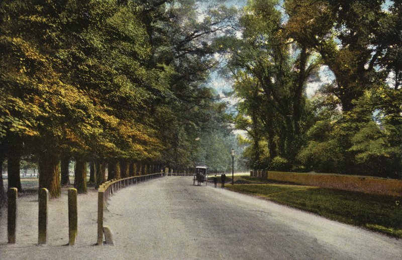 Queens Road, The Backs od English Photographer