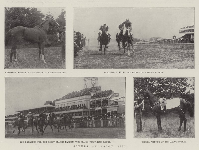 Scény v Ascotu, 1901 od English Photographer