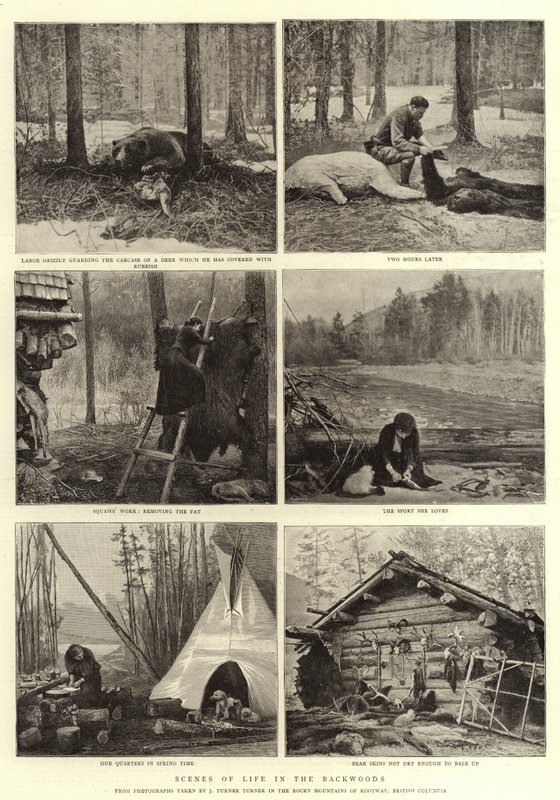 Scény života v zapadlých lesích od English Photographer