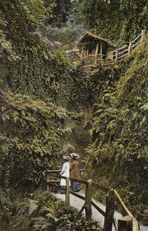 Shanklin Chine od English Photographer