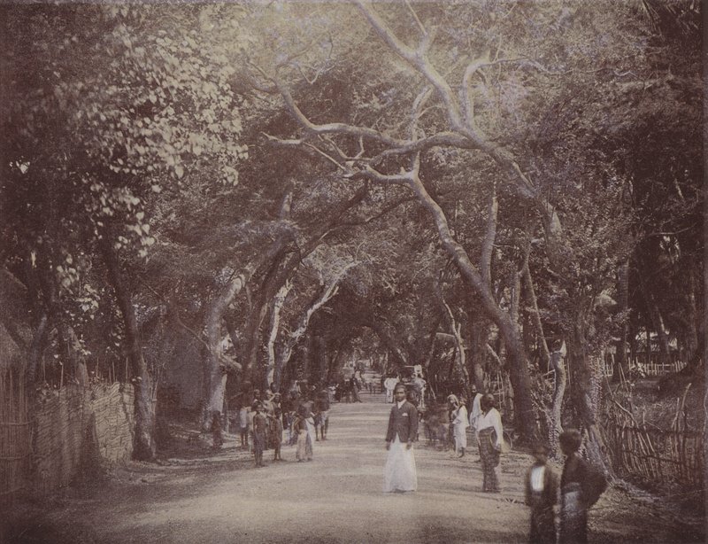 Skinners Road, Colombo (barevné fotografie) od English Photographer