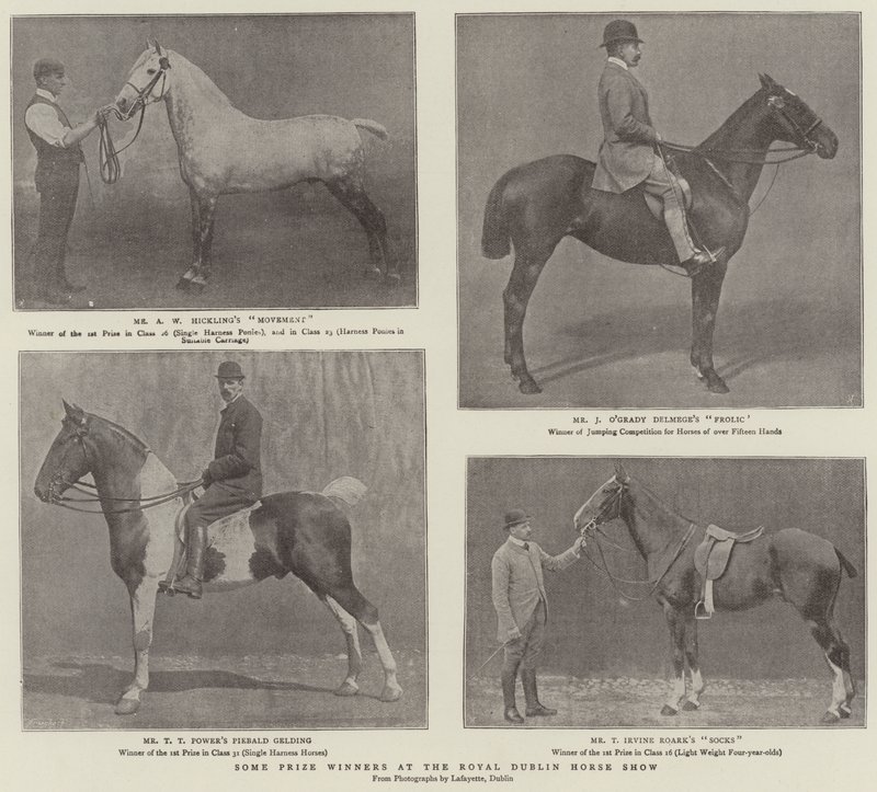 Někteří vítězové na Royal Dublin Horse Show od English Photographer