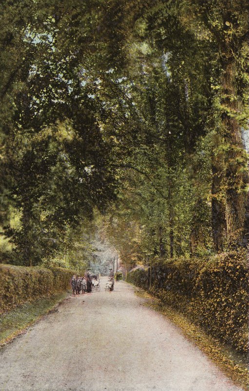 Spencer Road, Ryde od English Photographer