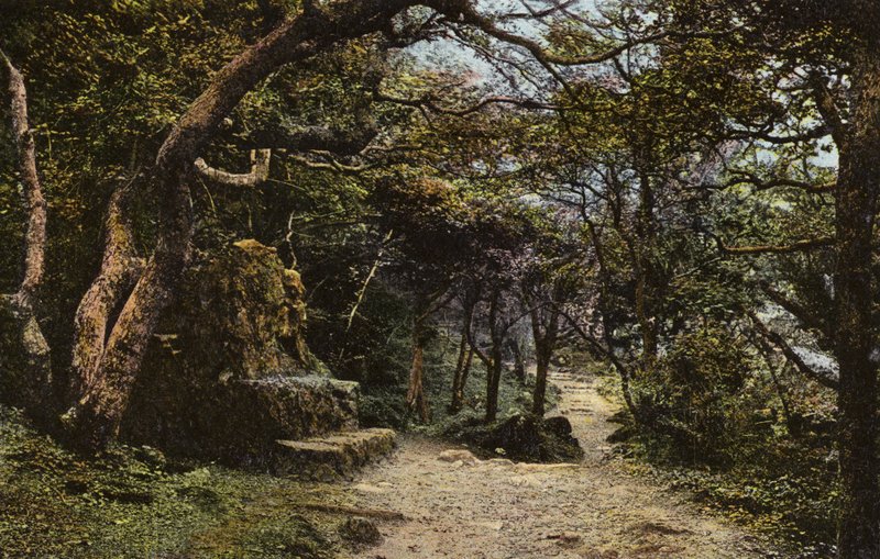 Kamenné sídlo, Landslip od English Photographer