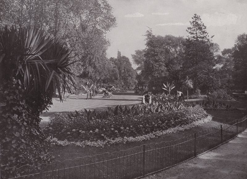 Subtropické zahrady, Battersea Park od English Photographer