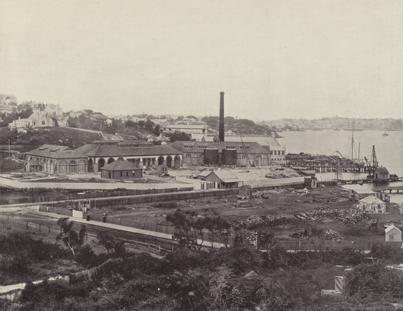 Sunlight Soap Companys Works, poblíž Sydney od English Photographer