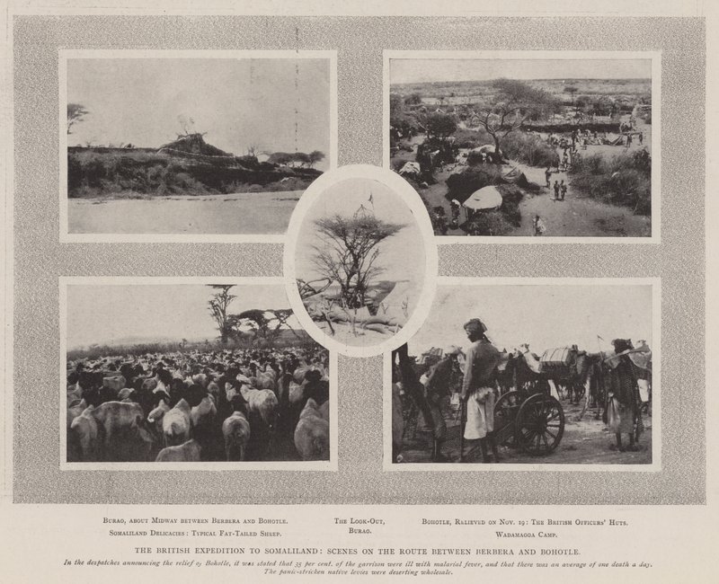 Britská expedice do Somalilandu, scéna na trase mezi Berberou a Bohotle od English Photographer
