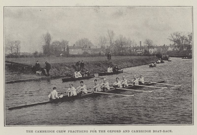 Cambridge Crew cvičí na Oxford a Cambridge Boat-Race od English Photographer