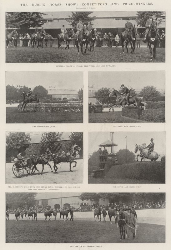 Dublin Horse Show, soutěžící a vítězové od English Photographer