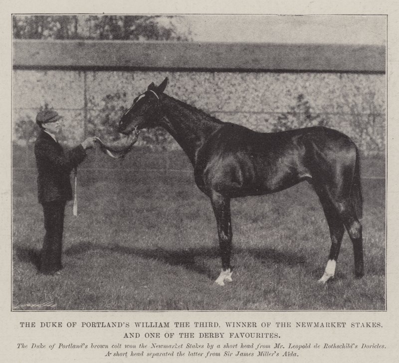 Vévoda z Portlands William Třetí, vítěz Newmarket Stakes a jeden z favoritů Derby od English Photographer