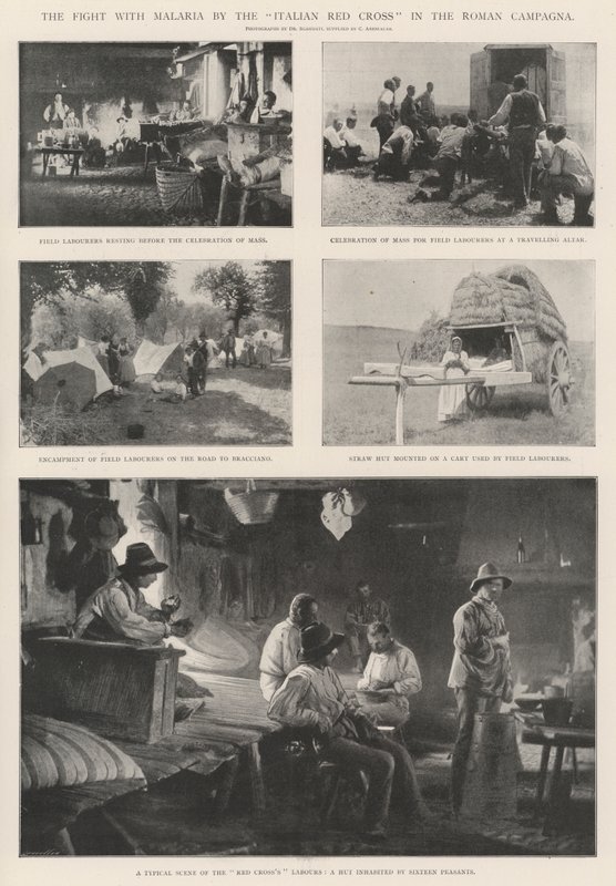Boj s malárií od italského Červeného kříže v římské Campagna od English Photographer