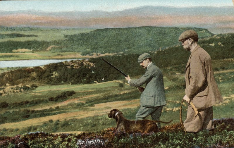 Slavný dvanáctý (12. srpna), začátek sezóny odstřelu tetřívka obecného v Británii (barevné foto) od English Photographer