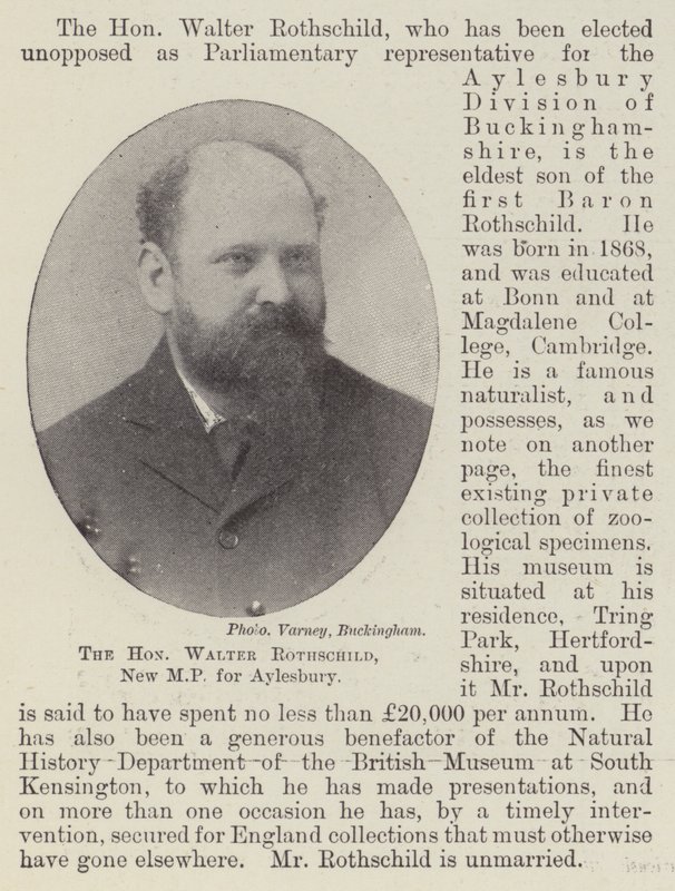 Ctihodný Walter Rothschild, nový poslanec za Aylesbury od English Photographer