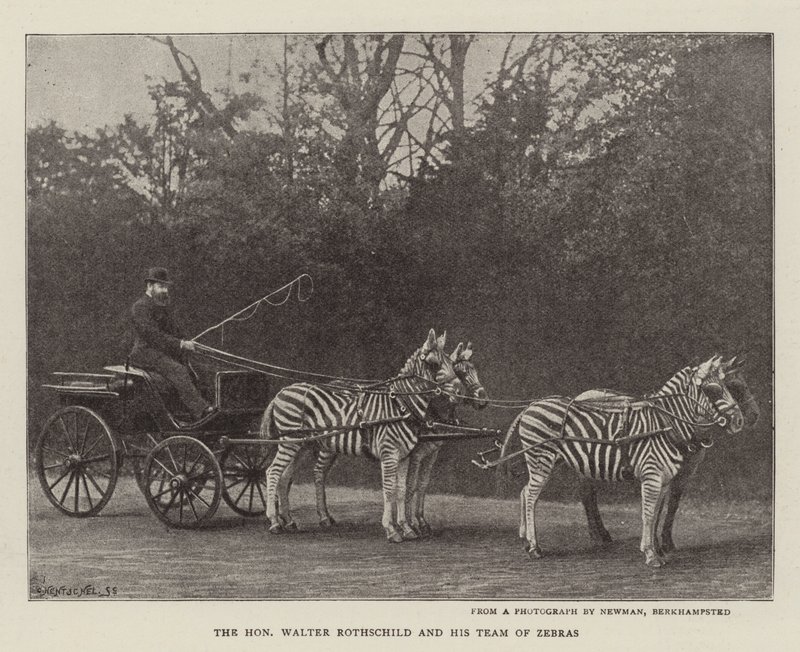 Ctihodný Walter Rothschild a jeho tým zeber od English Photographer
