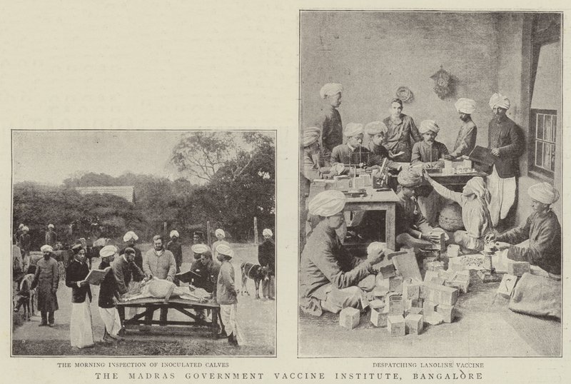 Madras Government Vaccine Institute, Bangalore od English Photographer