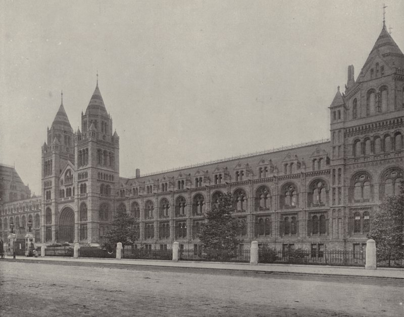 Přírodovědné muzeum (čb fotografie) od English Photographer