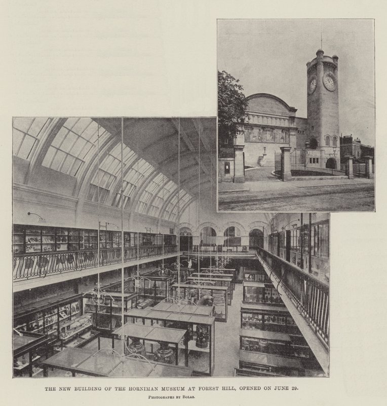 Nová budova Hornimanova muzea na Forest Hill, otevřena 29. června od English Photographer