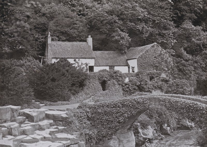 Starý mlýn, Jesmond Dene (č/b foto) od English Photographer