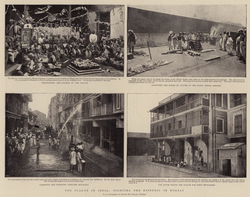 Mor v Indii, boj s epidemií v Bombaji od English Photographer