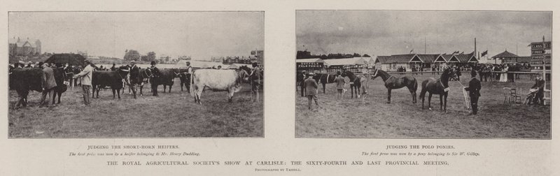 Výstava Royal Agricultural Society v Carlisle, 64. a poslední provinční setkání od English Photographer