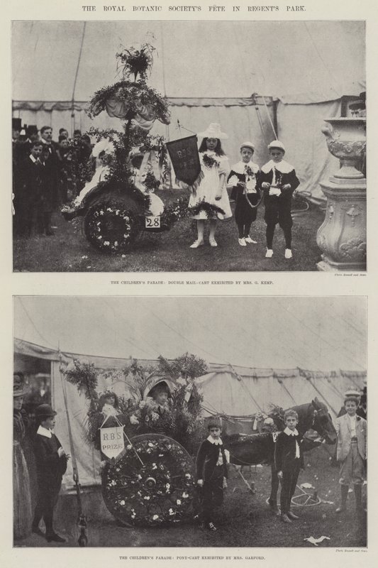 Slavnost Royal Botanic Society v Regents Park od English Photographer