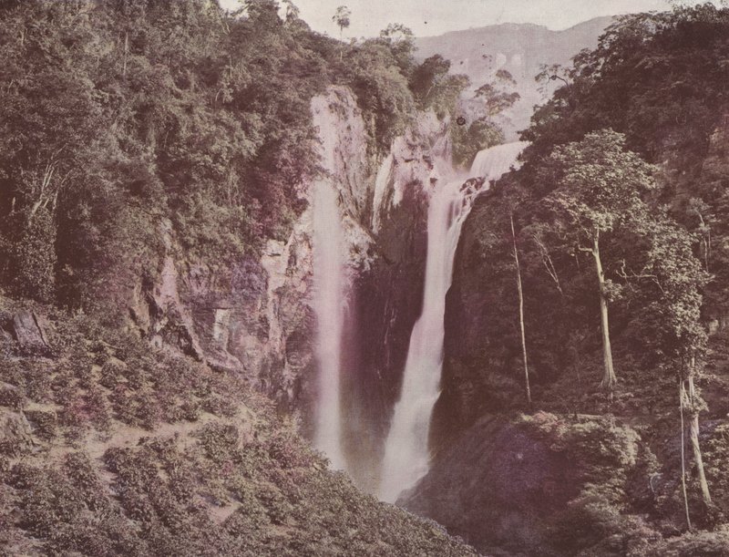 Twin Falls (pěstování kávy v popředí), Cejlon (barevné foto) od English Photographer