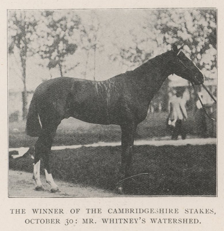 Vítěz Cambridgeshire Stakes, 30. října, pan Whitneys Watershed od English Photographer