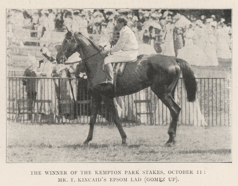 Vítěz Kempton Park Stakes, 11. října, pan T Kincaids Epsom Lad (Gomez up) od English Photographer