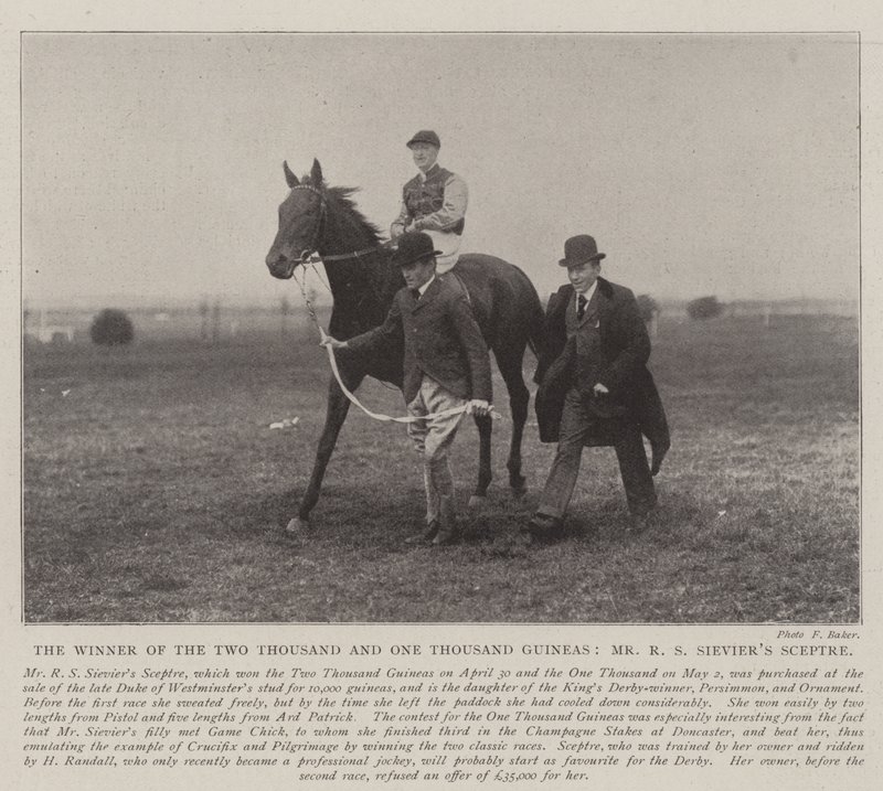 Vítěz dvou tisíc a jednoho tisíce guinejí, pan R. S. Sieviers Scepter od English Photographer