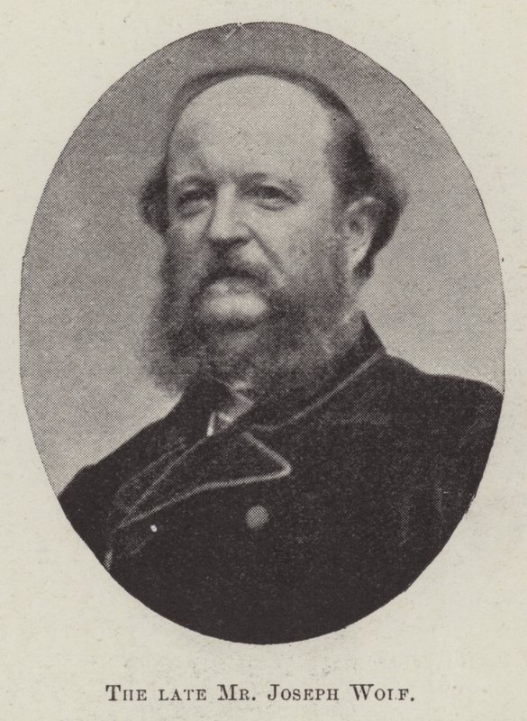 Zesnulý pan Joseph Wolf od English Photographer