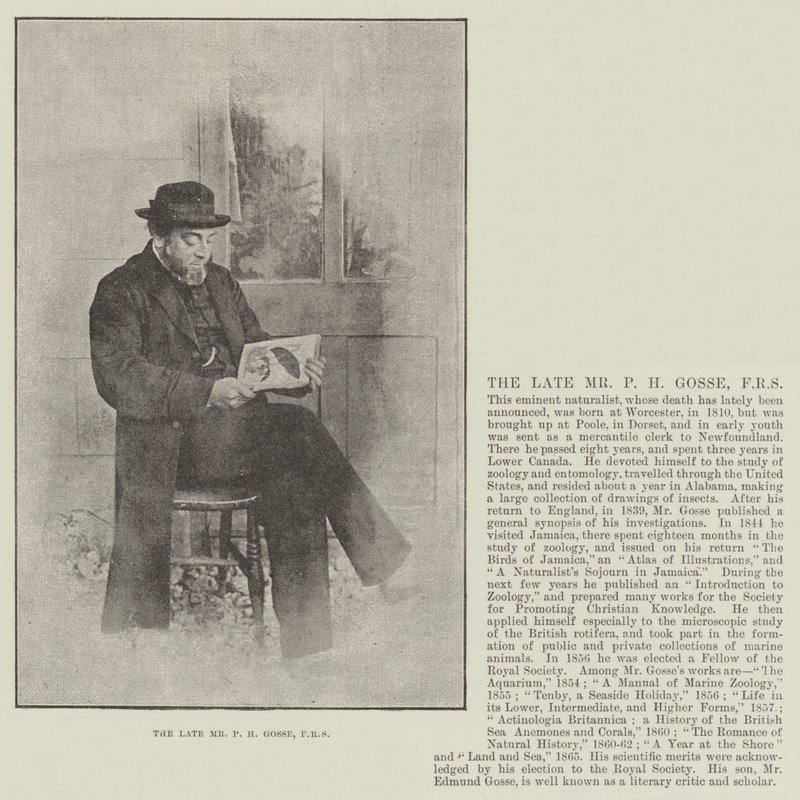 Zesnulý pan PH Gosse, FRS od English Photographer