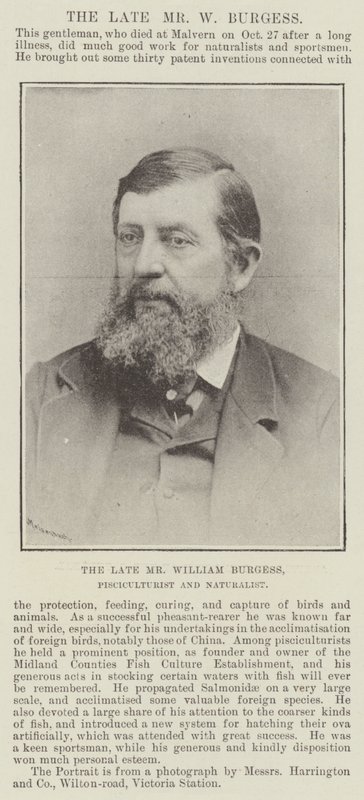 Zesnulý pan William Burgess, rybář a přírodovědec od English Photographer