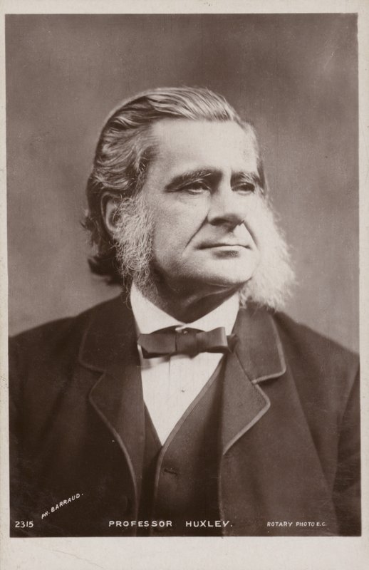 Thomas Henry Huxley (1825-1895, anglický biolog od English Photographer