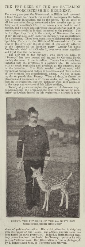 Tommy, jelen ze 4. praporu Worcestershire Regiment od English Photographer