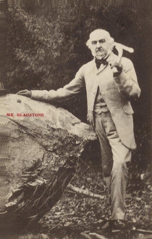 William Ewart Gladstone od English Photographer