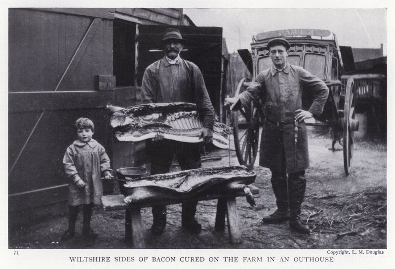 Wiltshire strany slaniny sušené na farmě v přístavku (černobílá fotografie) od English Photographer