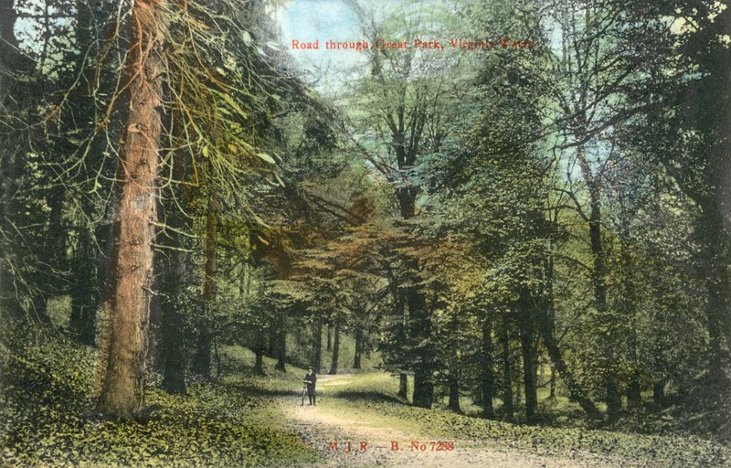Windsor Great Park, Virginia Water (barevná fotografie) od English Photographer
