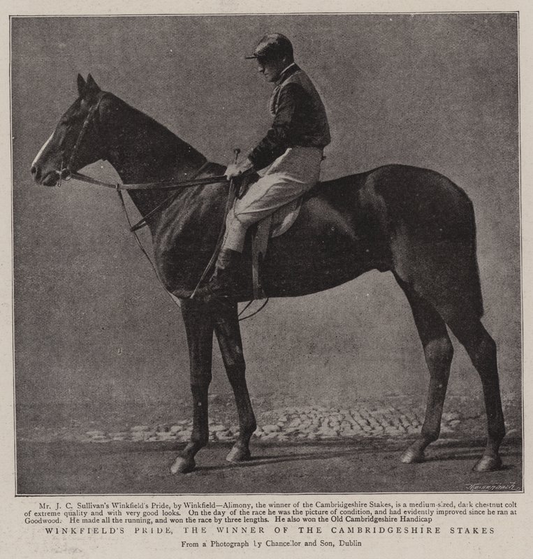 Winkfields Pride, vítěz Cambridgeshire Stakes od English Photographer