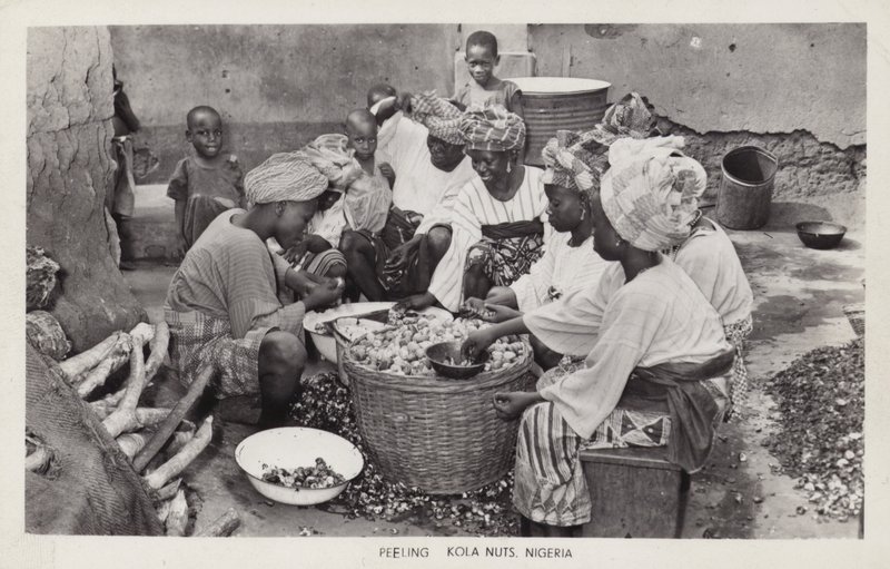 Ženy loupající kolové ořechy, Nigérie (čb fotografie) od English Photographer
