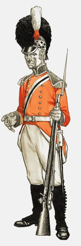 92. Honzo Artillery Co. Infantry Div. Soukromý 1803 od English School