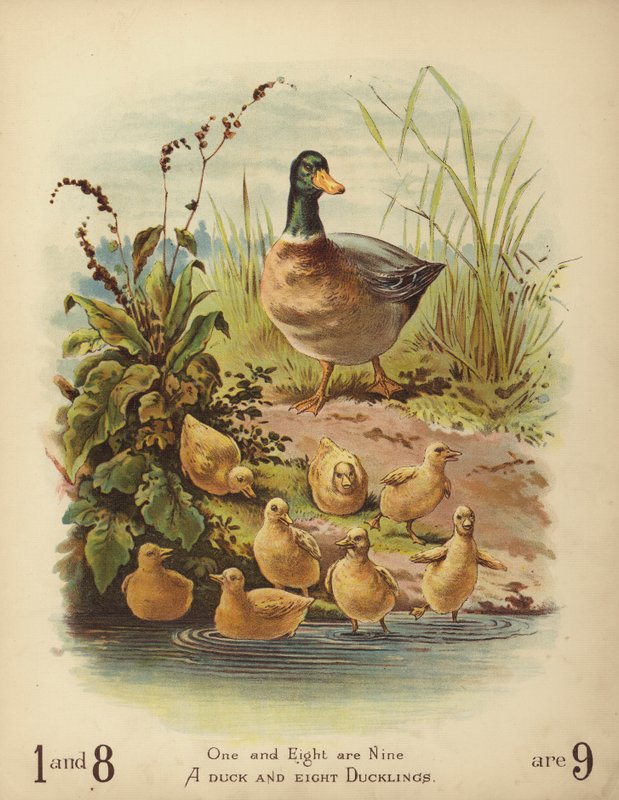 Kachna a osm kachňat (chromolitho) od English School