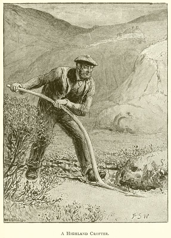 Highland Crofter od English School