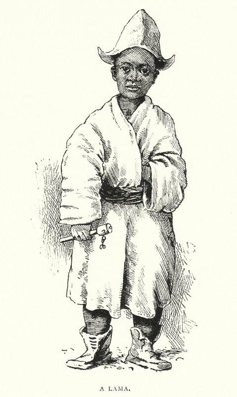 A Lama (rytina) od English School