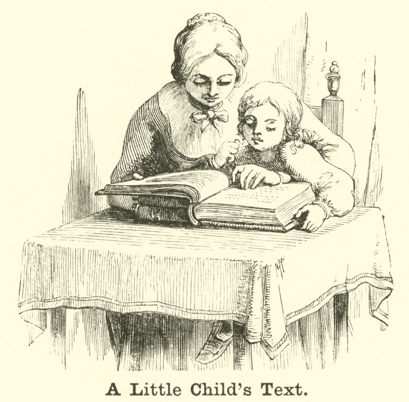 Text malého dítěte od English School