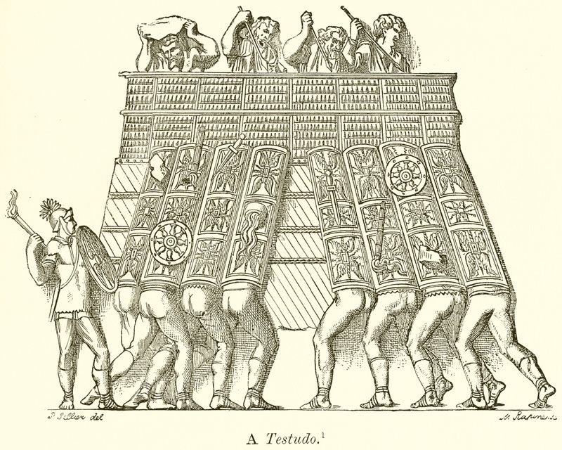 Testudo od English School