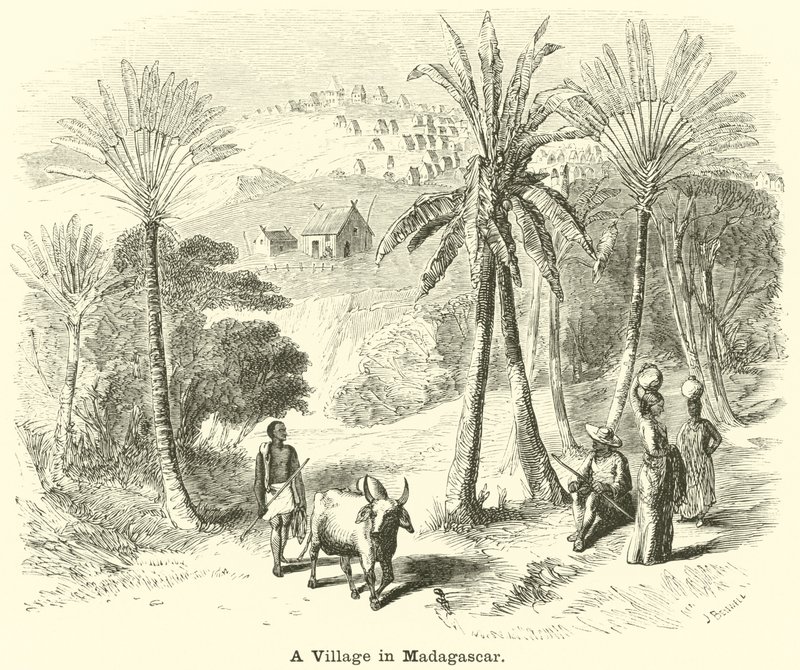 Vesnice na Madagaskaru od English School