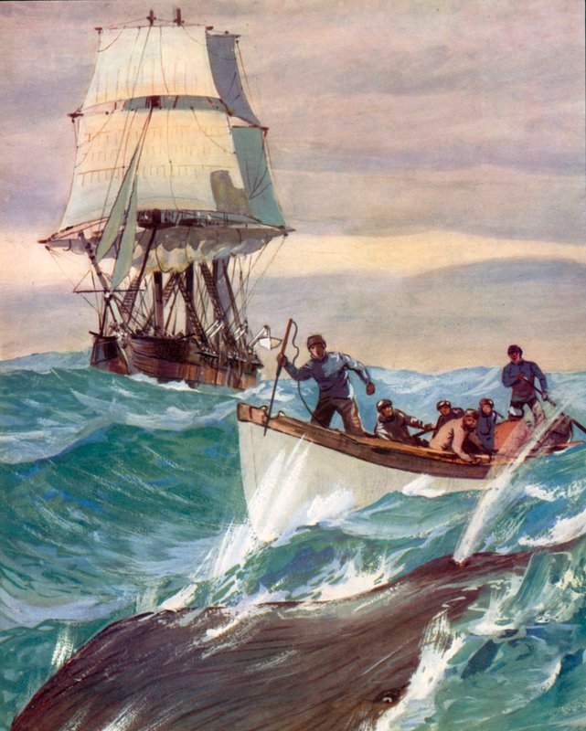 Velrybář (barevná litografie) od English School