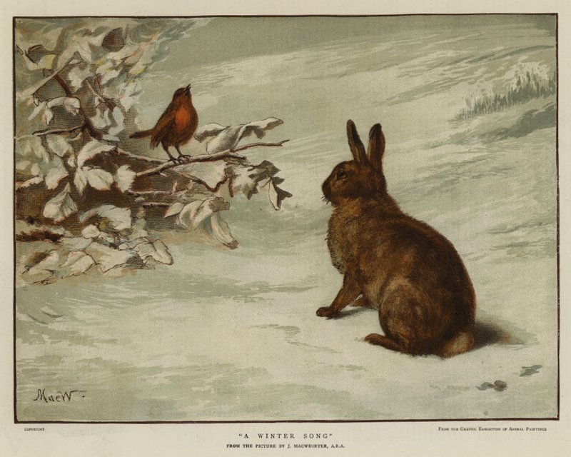 Zimní píseň (chromolitho) od English School