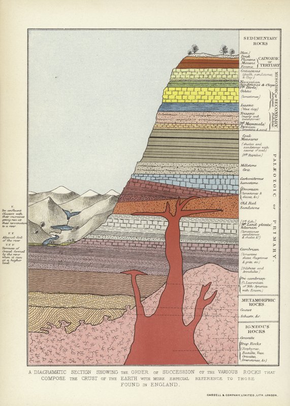 Diagramová část znázorňující pořadí posloupnosti různých hornin, které tvoří zemskou kůru, se speciálním odkazem na ty nalezené v Anglii od English School